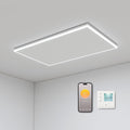 byecold Elektroheizkörper, 108x63 cm, Weiß, Infrarotheizung Deckenmontage 700 Watt, Deckenheizung Infrarot mit LED Beleuchtung